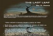 The Last Leaf (English Presentation)