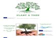 Plant a Tree Info Pack
