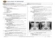 4.8 Anatomy - Radiology of the Abdomen