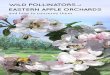 Wild Pollinators