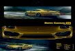 Cayman GT4 - Catálogo