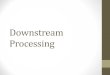 Downstream Processing Intro
