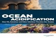 Ocean Acidification: How CO2 Emissions and False Solutions Threaten Our Oceans