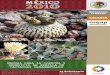 Manual Para La Cosecha y Beneficio de Semillas de Cactáceas Ornamentales (Mexico 2010)