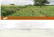Conservation Agriculture Cf Handbook for Hoe Farmers Zambia