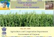 Download-strategy-Gujarat Agriculture 11th Plan