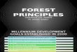 Forest Principles