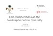 Maldives: First  considerations on the Roadmap for Climate Neutrality (2013)