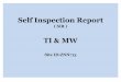 Self Inspection Report TI STC ZNN713