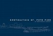 St. Pete Pier Proposal: Destination St. Pete Pier