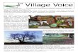 Village Voice 75