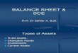 11 Balance Sheet & SCE