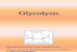 Curs 12 Glycolysis