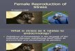 Female -reproduction-stress 3rd lecture.ppt