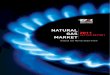 Natural Gas Market 2011 Sector Report