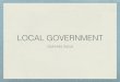 POS Report - Local Government
