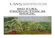 Bio Fuel Production in Brazil