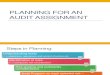 Audit Assignment Planning Performance Audit
