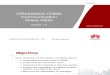 ORA000002 CDMA Communication Flow(NSS)ISSUE1.3.ppt