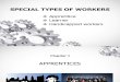 Special Types of Workers Report