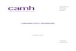 CAMH Cannabis Policy Framework