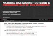 Fundamentals of the LNG Business - Enalytica