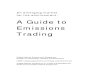 An Emerging Market for the Environment a Guide to Emissions Trading