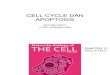 BIOMOL 2013 Cell Cycle Apoptosis 2 (1)