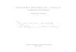 Structural Dynamics - Computational-Dynamics - Soren R. K. Nielsen.pdf