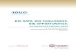 Ioug Big Data Strategies Survey