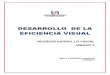 DESARROLLO EFICIENCIA VISUAL-MILLY LEONARDO AGUILAR.pdf