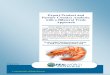 FIN9 Shrimp Prawns - International trade