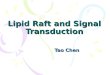 Lipid Raft and Signal Transduction2