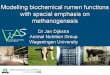 Modelling Biochemical Rumen Functions With Special Emphasis on Methanogenesis
