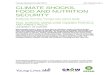 Climate Shocks, Food and Nutrition Security: Evidence from the Young Lives cohort study