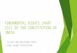 Fundamental Rights P3
