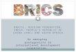 Development Framework: BRICS