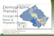Demographic Trends: Foreign Born Race & Hispanic Origin