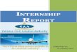 CAA Finance Internship Report