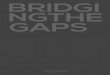 Bridging the Gaps Publication