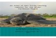 Atlas Sea Turtle Nesting Habitat