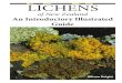Lichens of New Zealand an Introductory Illustrated Guide