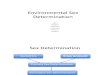 Environmental Embryology