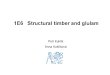 1E06-01 Structural Timber