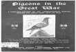 Pigeons in the Great War