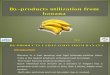 By-products Utilization From Banana (1)_1