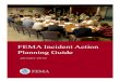 Incident Action Planning Guide 1-26-2012