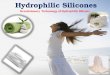 Hydrophilic Silicones New