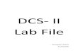 Lab File (1)