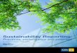 Sustainability Reporting Practice Performance Potential